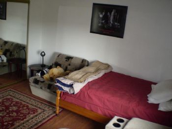 sgtshammy profile photo