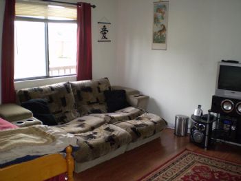 sgtshammy profile photo