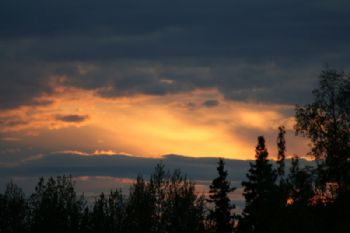 sgtshammy profile photo