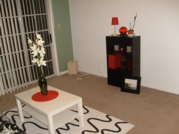 thallen84 profile photo