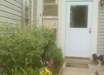 kscott65 profile photo