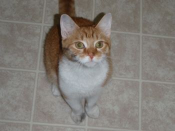 ellisk66861 profile photo