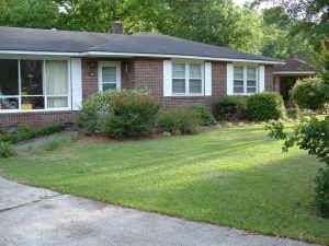 memalone2 profile photo