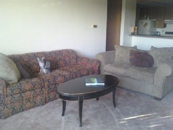 mldaniel profile photo