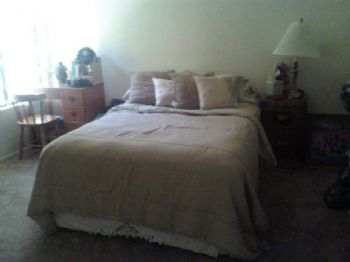 mldaniel profile photo