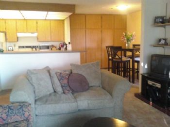 mldaniel profile photo