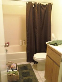 mldaniel profile photo