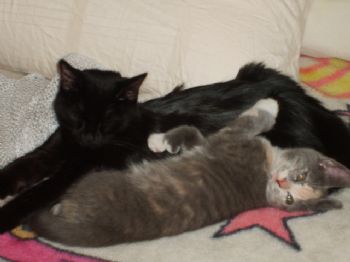 mlmn57 profile photo