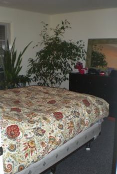 Radgirl00 profile photo