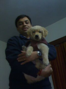 tdadoo profile photo