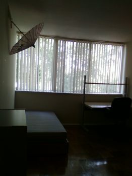 lillyk3184 profile photo