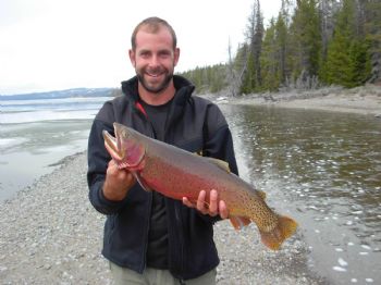 pat123 profile photo