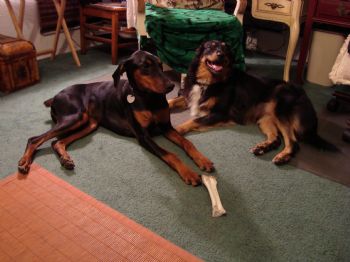 Merenwentari profile photo