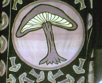 mazular profile photo