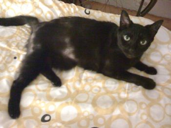 Buttergun profile photo