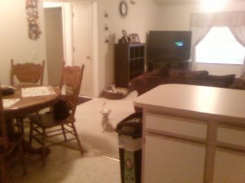 cadkison profile photo