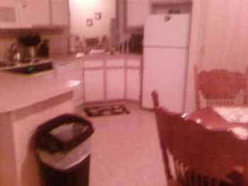 cadkison profile photo