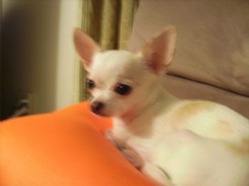 Resq0691 profile photo