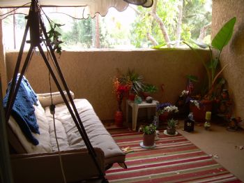 MitchMitch profile photo