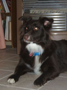 luisterrijke profile photo