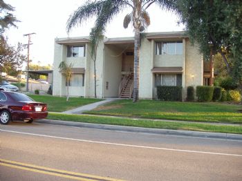 taniak profile photo