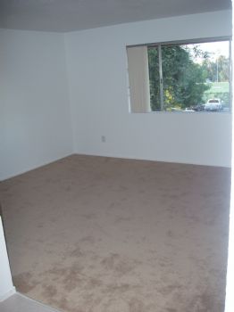 taniak profile photo