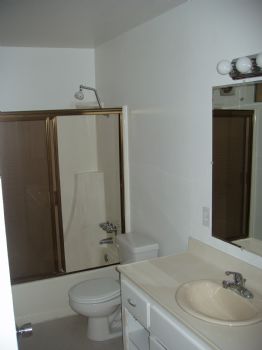 taniak profile photo