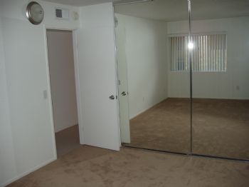 taniak profile photo