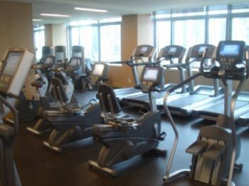 ellisapt profile photo