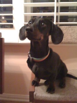 ctwillrevolt profile photo