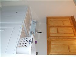 paintedrosez profile photo