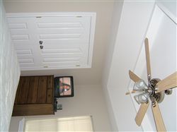 paintedrosez profile photo