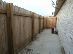 paintedrosez profile photo