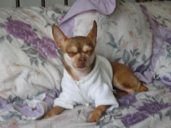 mnava1 profile photo