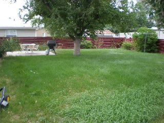 foggycreek profile photo