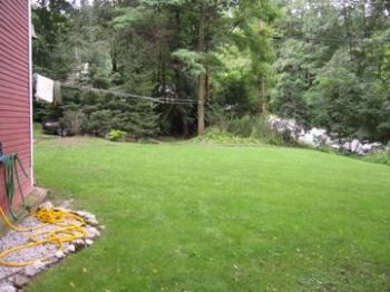 vtbriguy profile photo