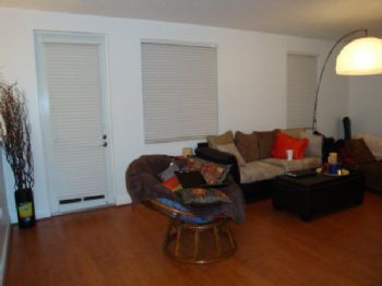 whatthefick profile photo