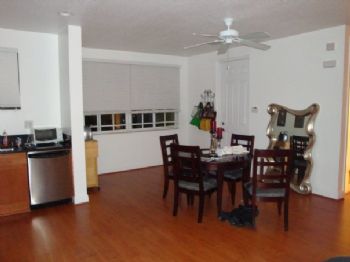 whatthefick profile photo