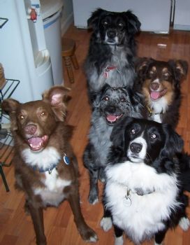 Aussielove61 profile photo