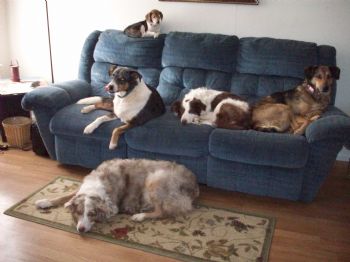 toolofthesou profile photo