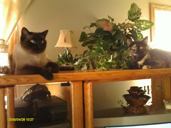 sumantha26 profile photo