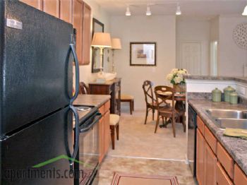 jacksparrow profile photo