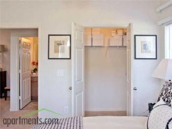 jacksparrow profile photo