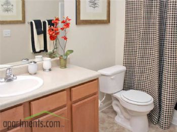 jacksparrow profile photo