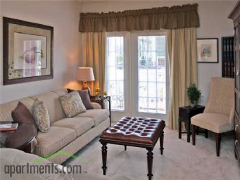 jacksparrow profile photo