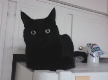 hofmae profile photo