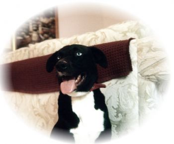 boliver profile photo