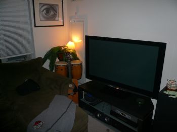 raylzride profile photo