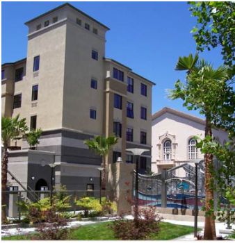 Dan_Nicolau profile photo