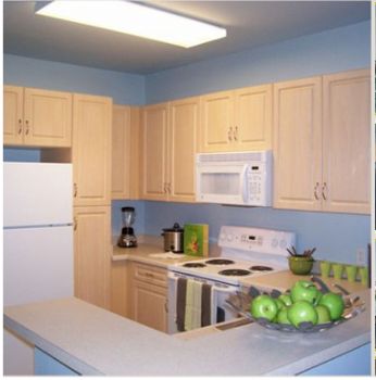 Dan_Nicolau profile photo